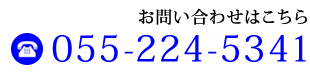 電話番号055-224-5341